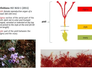 آزمون های فیزیک و شیمیایی و میکروبی  زعفران