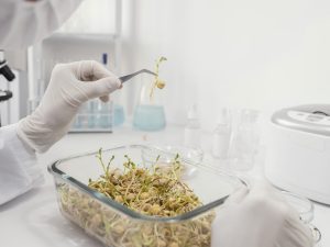 روش های نمونه برداری مواد غذایی