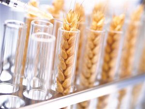 آزمون های آرد و فرآورده های آردی